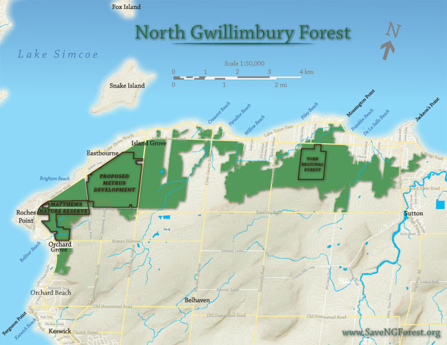 North Gwillimbury Forest