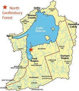 Location of North Gwillimbury Forest